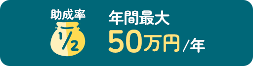 助成率1/2　年間最大50万円/年